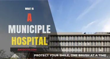 Understanding Municipal Hospitals: A Comprehensive Guide