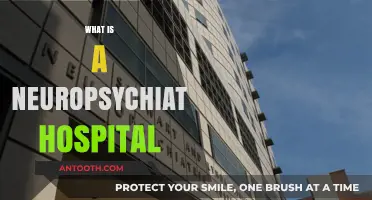 Understanding Neuropsychiatric Hospitals: A Comprehensive Guide