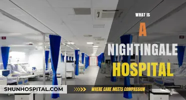 Understanding Nightingale Hospitals: A Comprehensive Guide