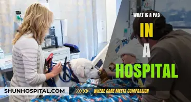 Understanding Hospital PACs: What You Need to Know
