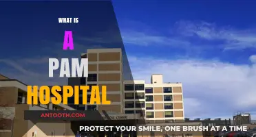 Understanding PAM Hospitals: A Comprehensive Guide to Compassionate Care