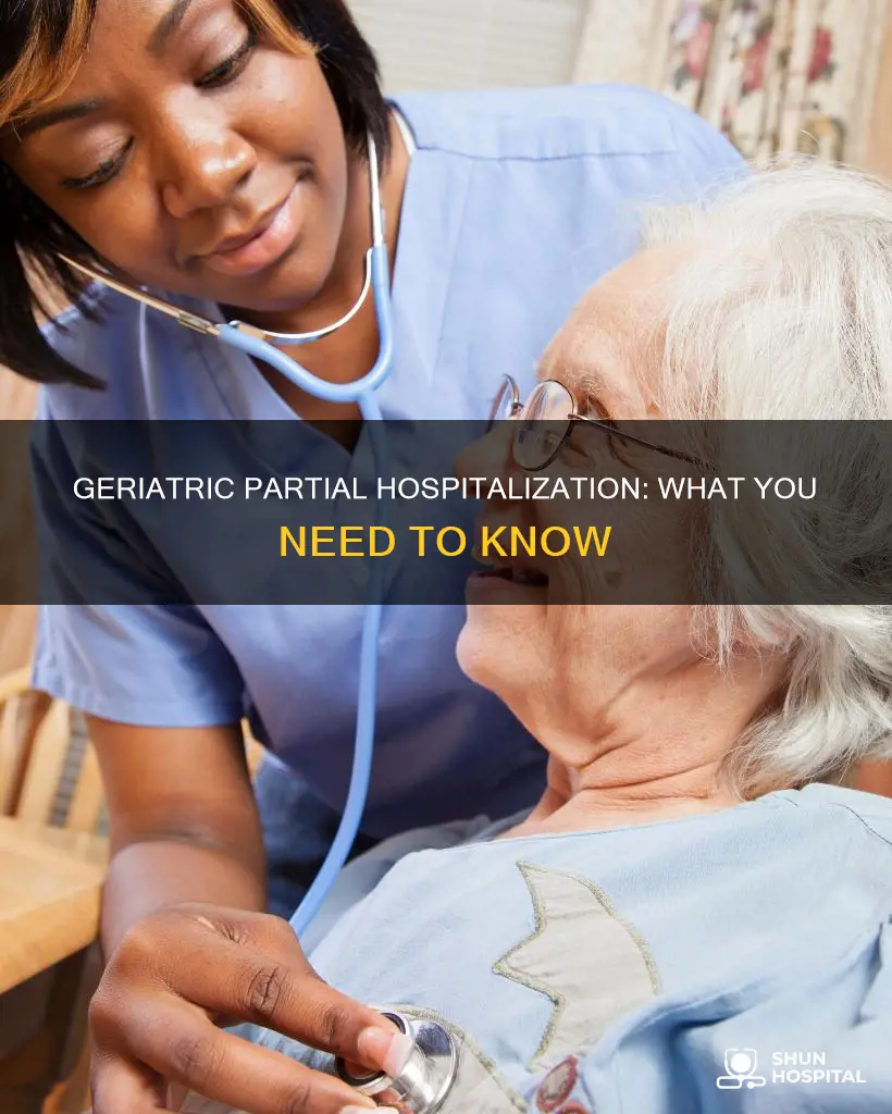 what is a partial hospitalization program geriatric