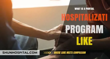 Understanding Partial Hospitalization Programs: An Overview