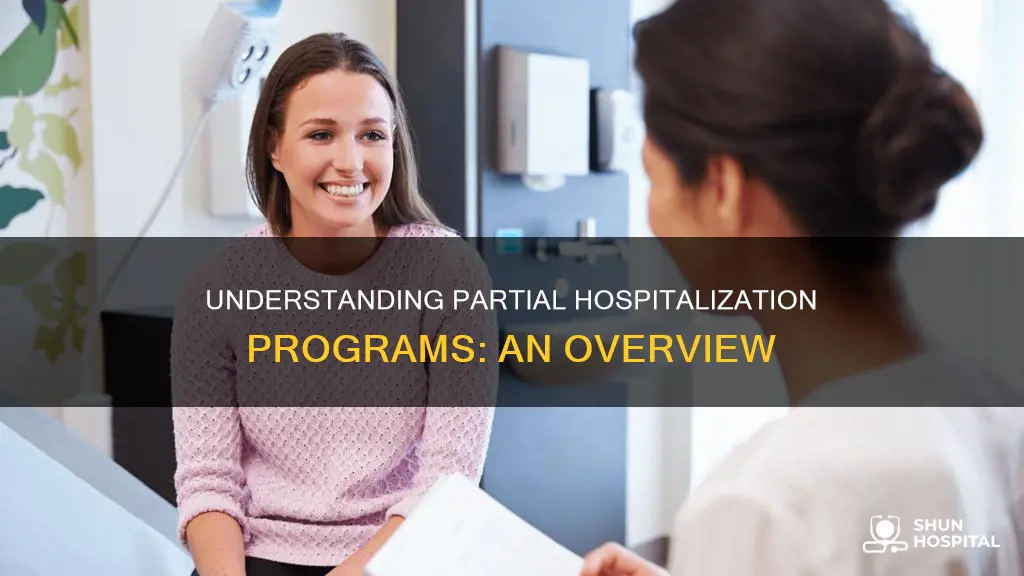 what is a partial hospitalization program like