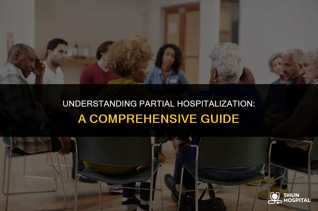 what is a partial hospitalization