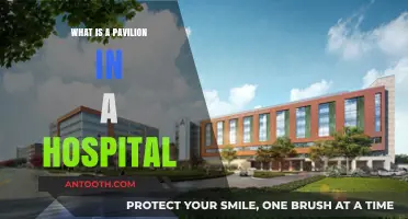 Hospital Pavilions: Specialized Care Units