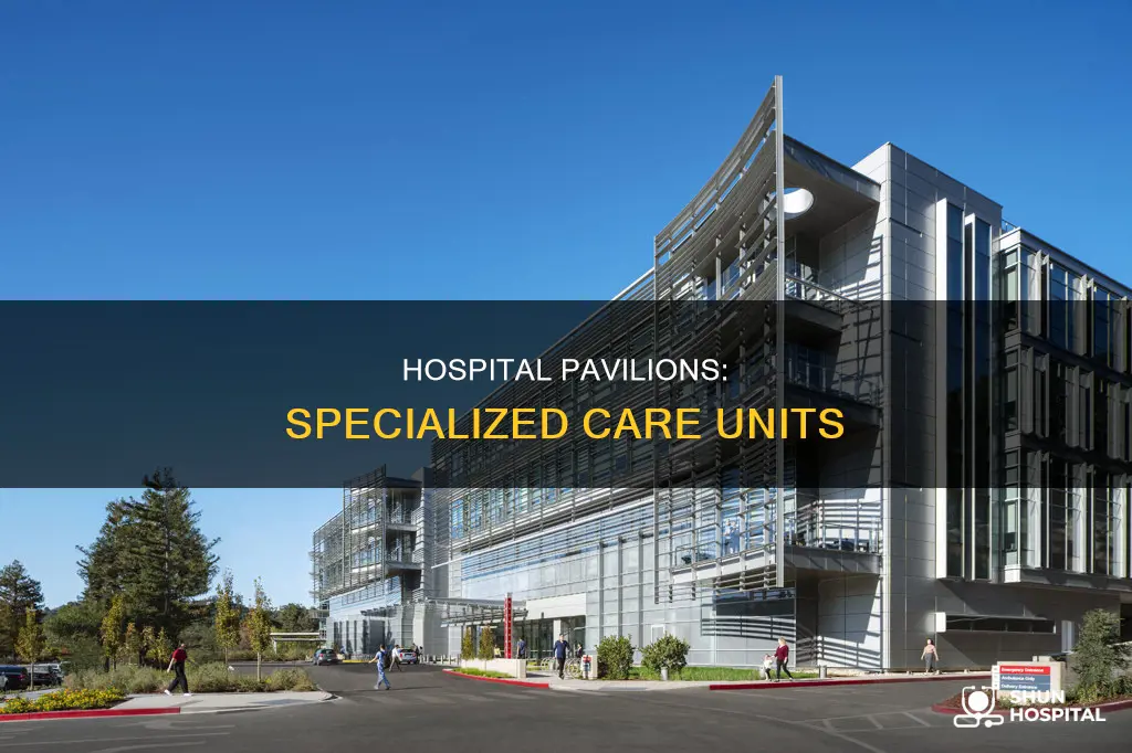 what is a pavilion in a hospital