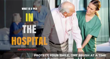 PCA in Hospitals: Understanding Patient Care Assistants
