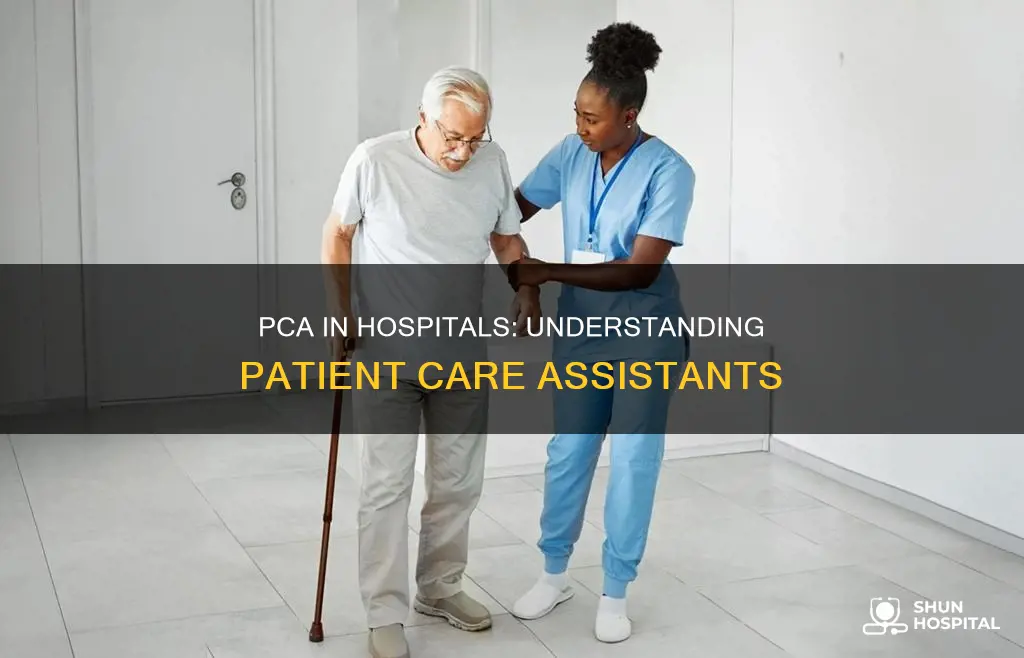what is a pca in the hospital