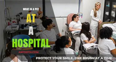 Hospital Patient Care: The Role of a PCT