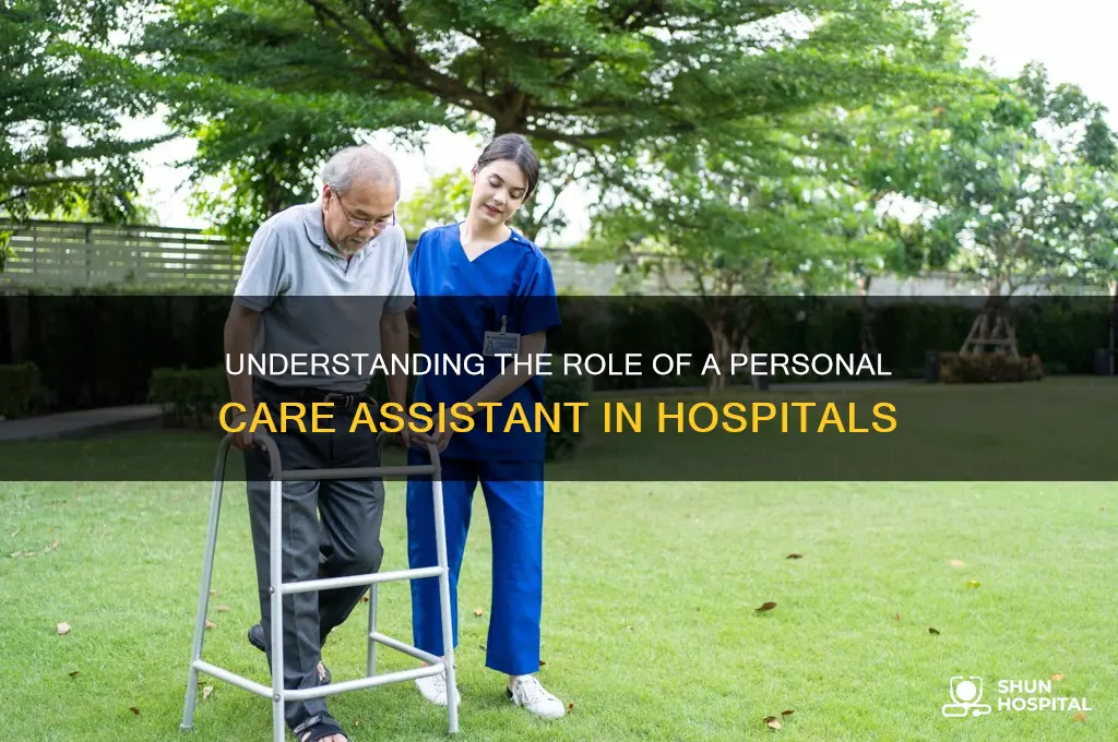 what is a personal care assistant for a hospital
