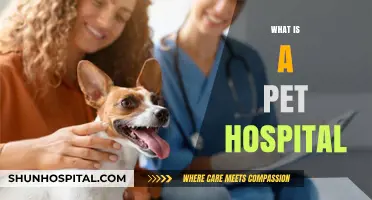 Understanding Pet Hospitals: A Comprehensive Guide for Pet Owners