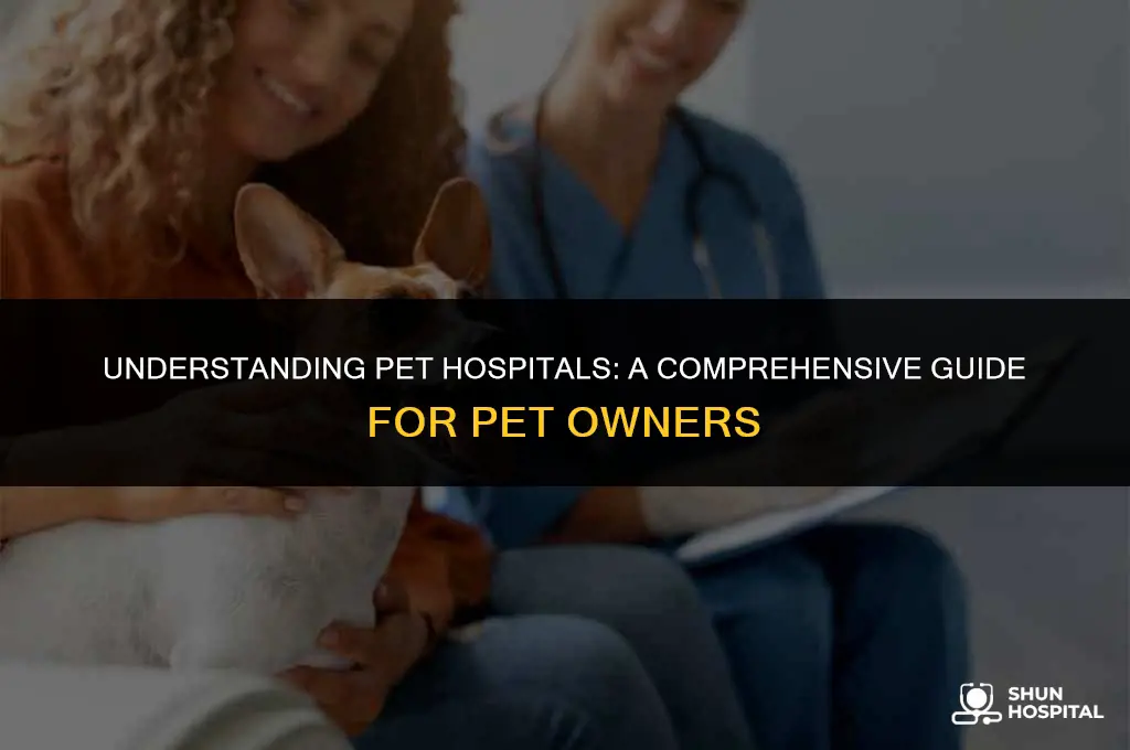 what is a pet hospital