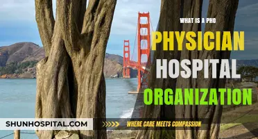 Understanding Physician-Hospital Organizations: The PHO Model