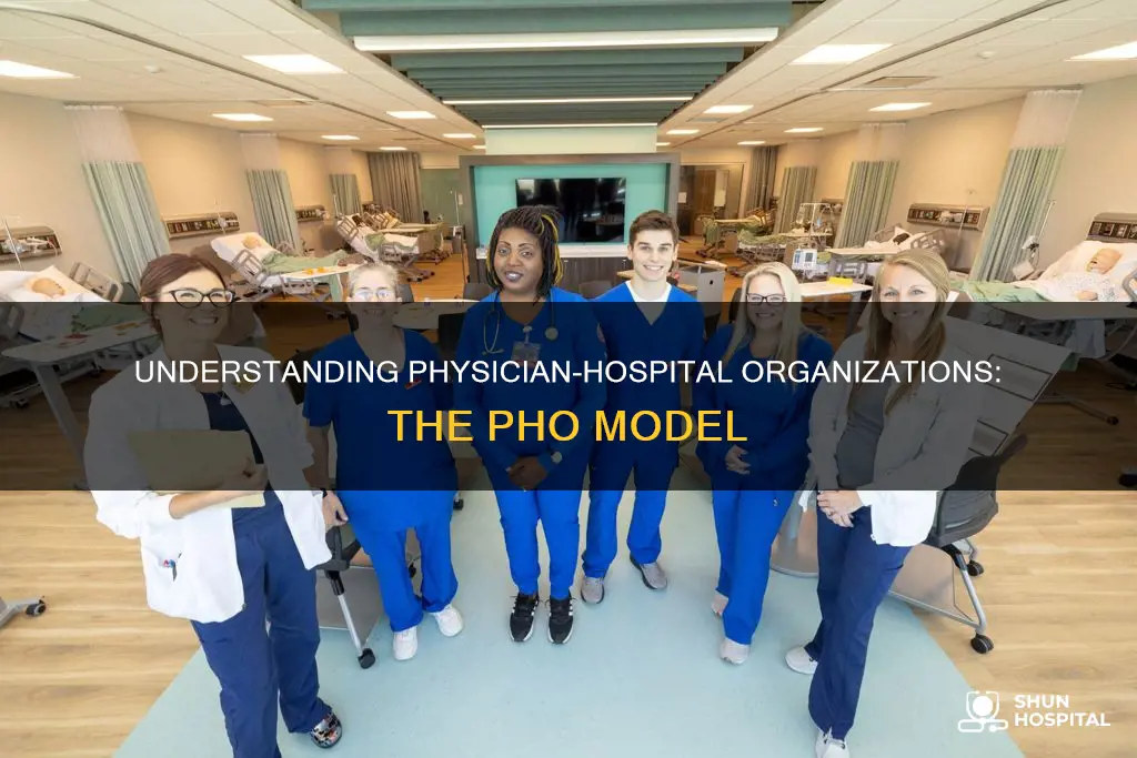 what is a pho physician hospital organization