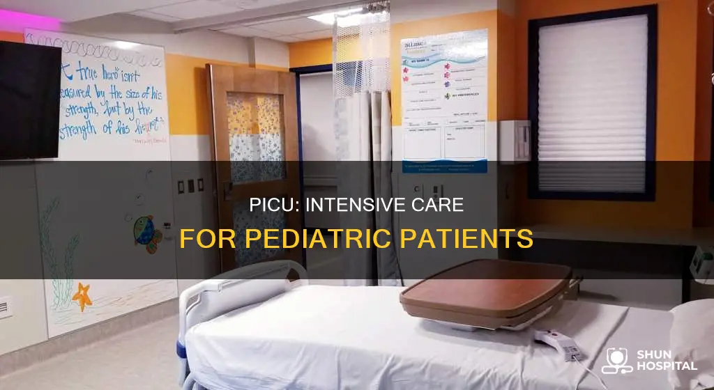 what is a picu in a hospital