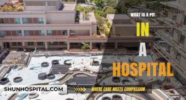 Hospital Pits: A Safe Space for Patients and Staff