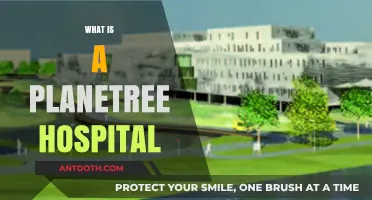 Exploring the Innovative Concept of a Planetree Hospital