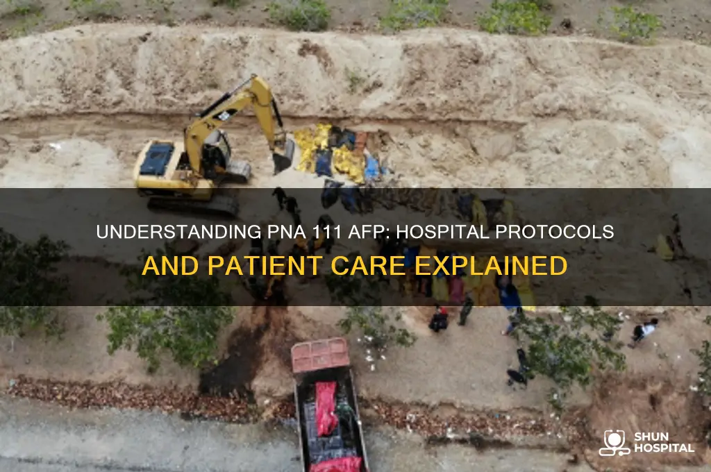 what is a pna 111 afp in a hospital