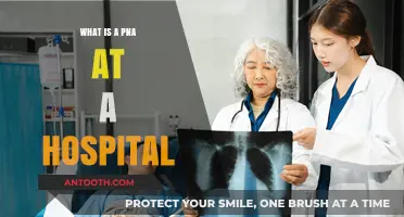 Understanding PNAs: Crucial Hospital Support