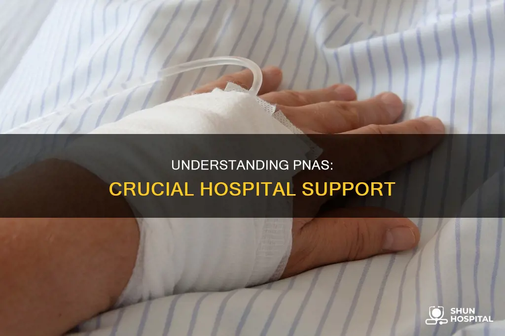 what is a pna at a hospital