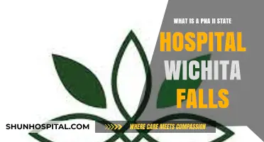 Understanding PNA II State Hospital in Wichita Falls: A Comprehensive Overview
