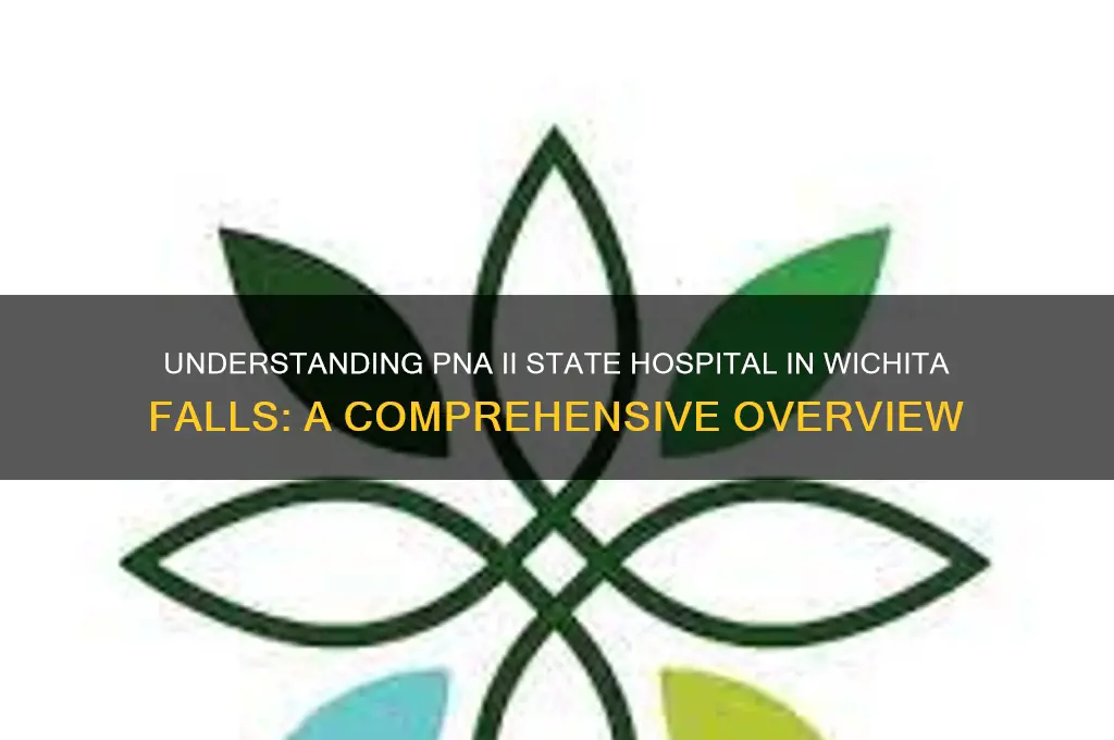 what is a pna ii state hospital wichita falls