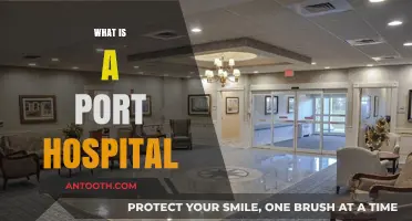 Understanding Port Hospitals: A Comprehensive Guide for Travelers