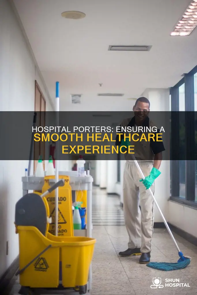 what is a porter at a hospital
