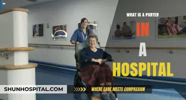 Hospital Porters: Supporting Patients and Staff Alike