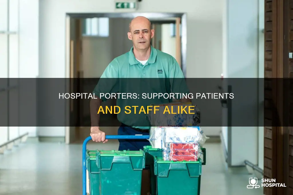 what is a porter in a hospital