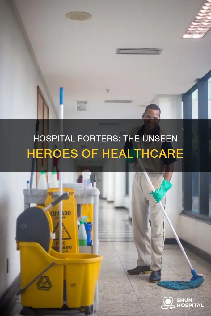 what is a porter om the hospital