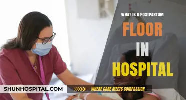 Postpartum Care: A Hospital Floor Dedicated to New Moms