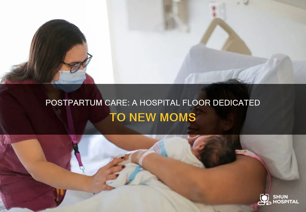 what is a postpartum floor in hospital