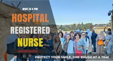 Pre-Hospital Care: The Role of Registered Nurses