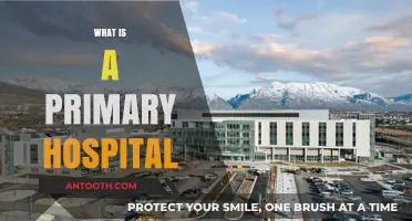 Understanding Primary Hospitals: Your First Line of Defense in Healthcare