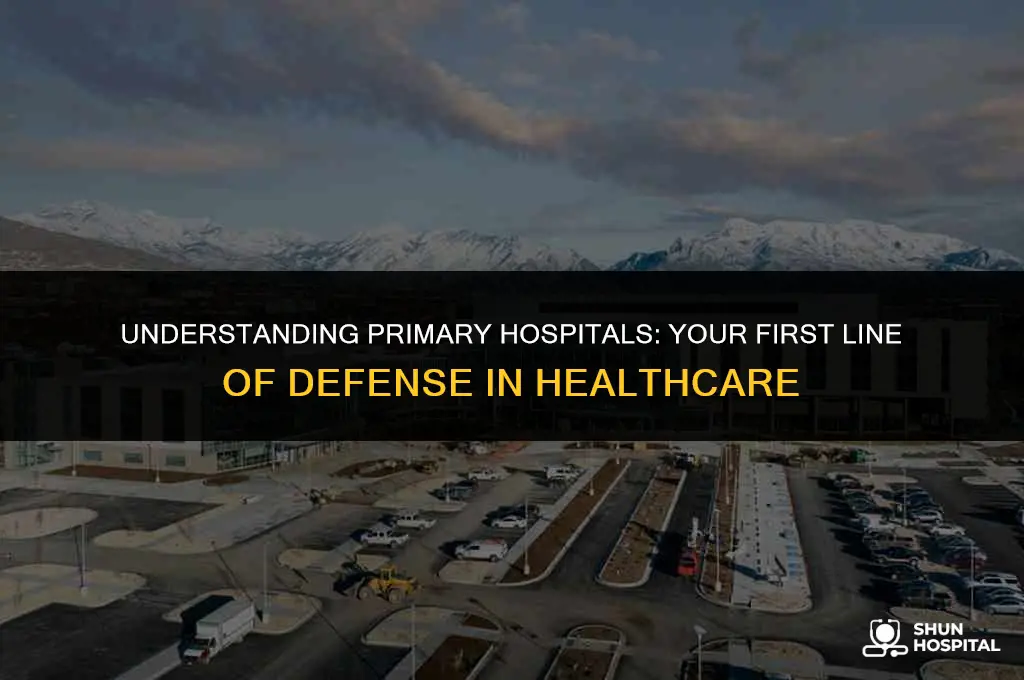 what is a primary hospital