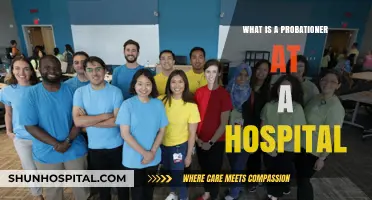 Understanding the Role of a Hospital Probationer