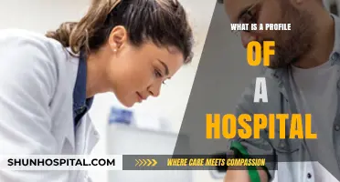 The Anatomy of a Hospital: A Comprehensive Overview