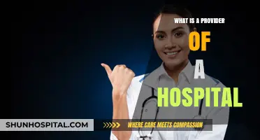 Hospital Providers: Who Are They?