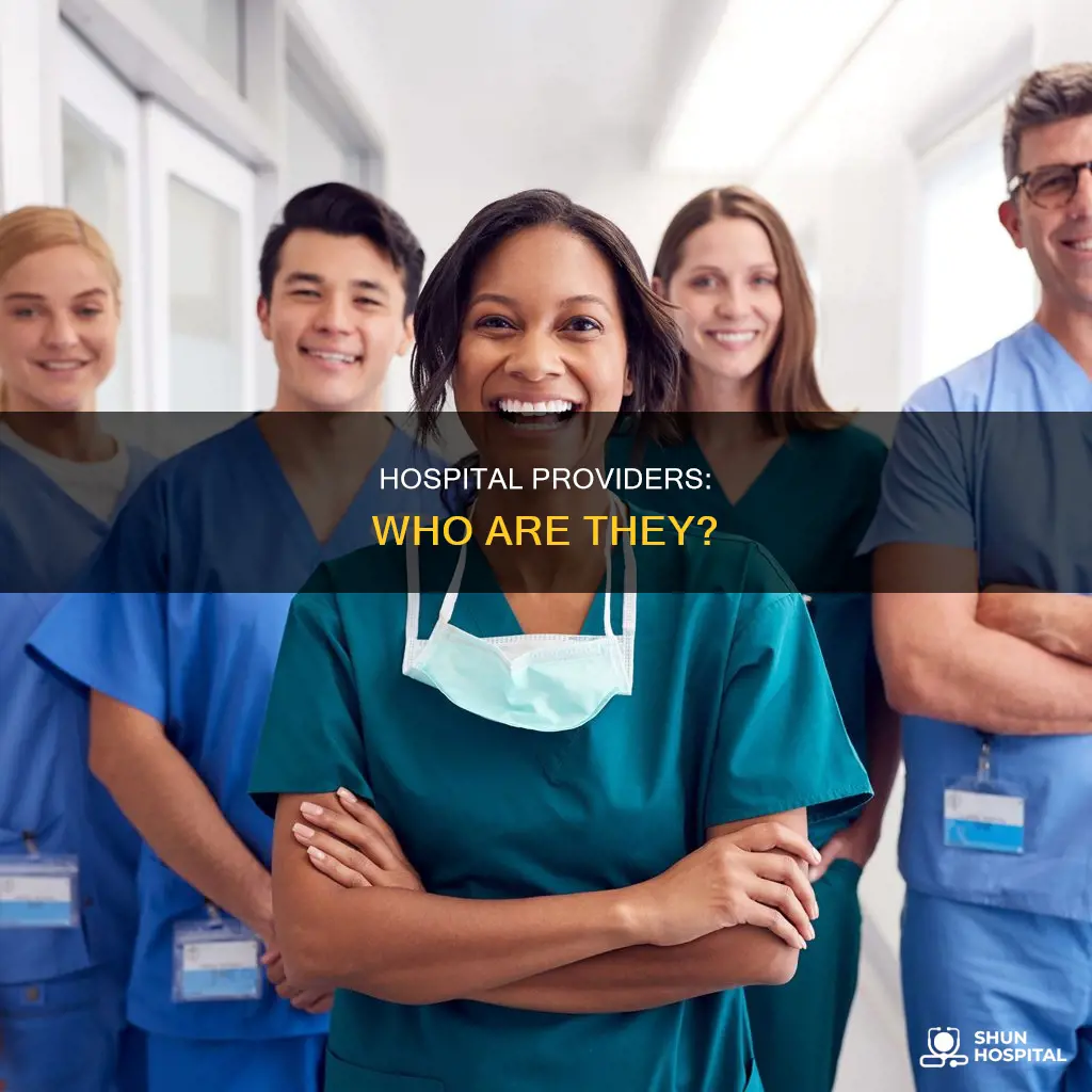 what is a provider of a hospital