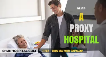 Understanding Proxy Hospitals: A Comprehensive Guide