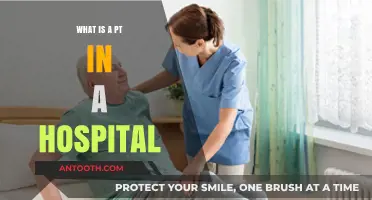 Understanding the Role of a PT in Hospitals