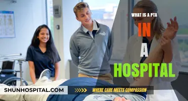 Understanding the Role of a Hospital PTA