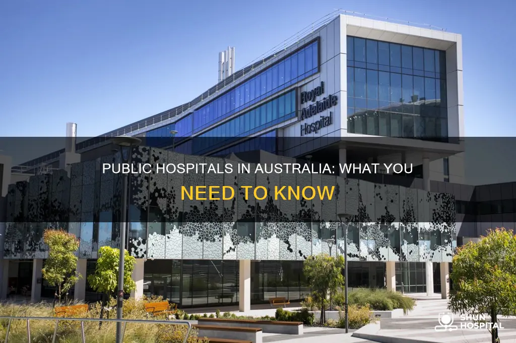 what is a public hospital in australia
