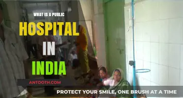 India's Public Hospitals: An Overview