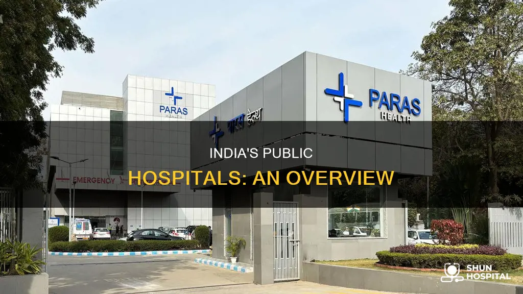 what is a public hospital in india
