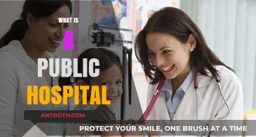 Understanding Public Hospitals: Services, Accessibility, and Community Impact