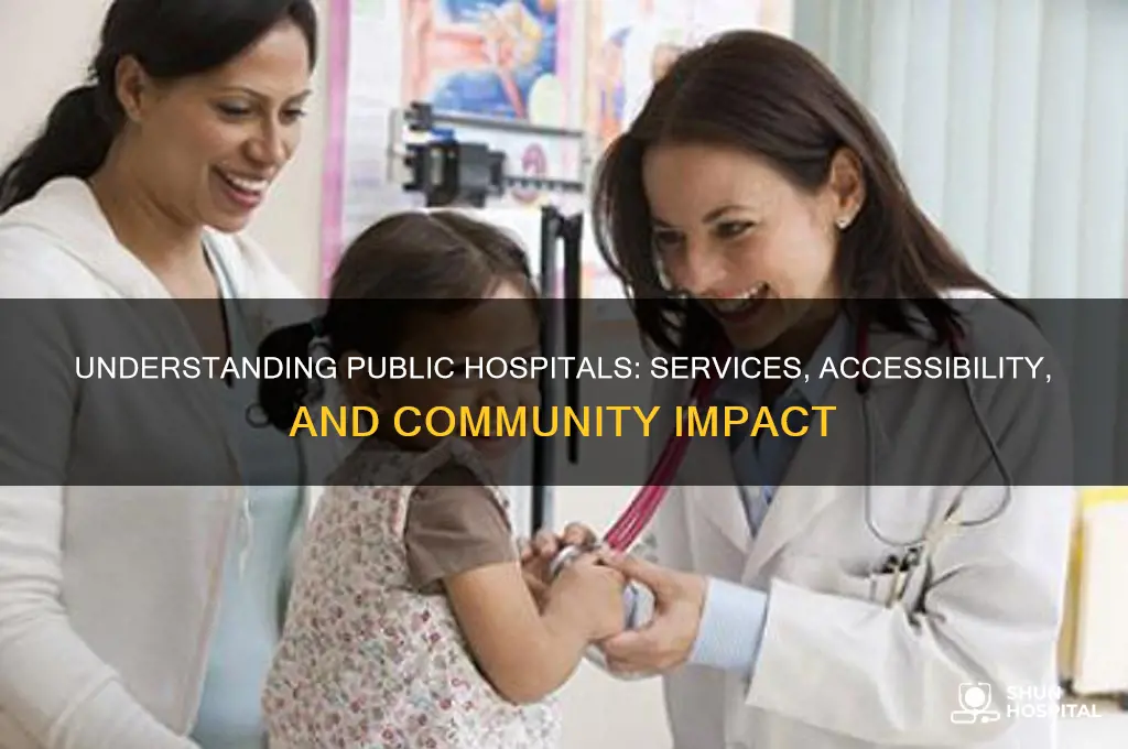 what is a public hospital