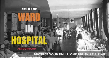 Red Wards: The Hospital's Most Critical Areas